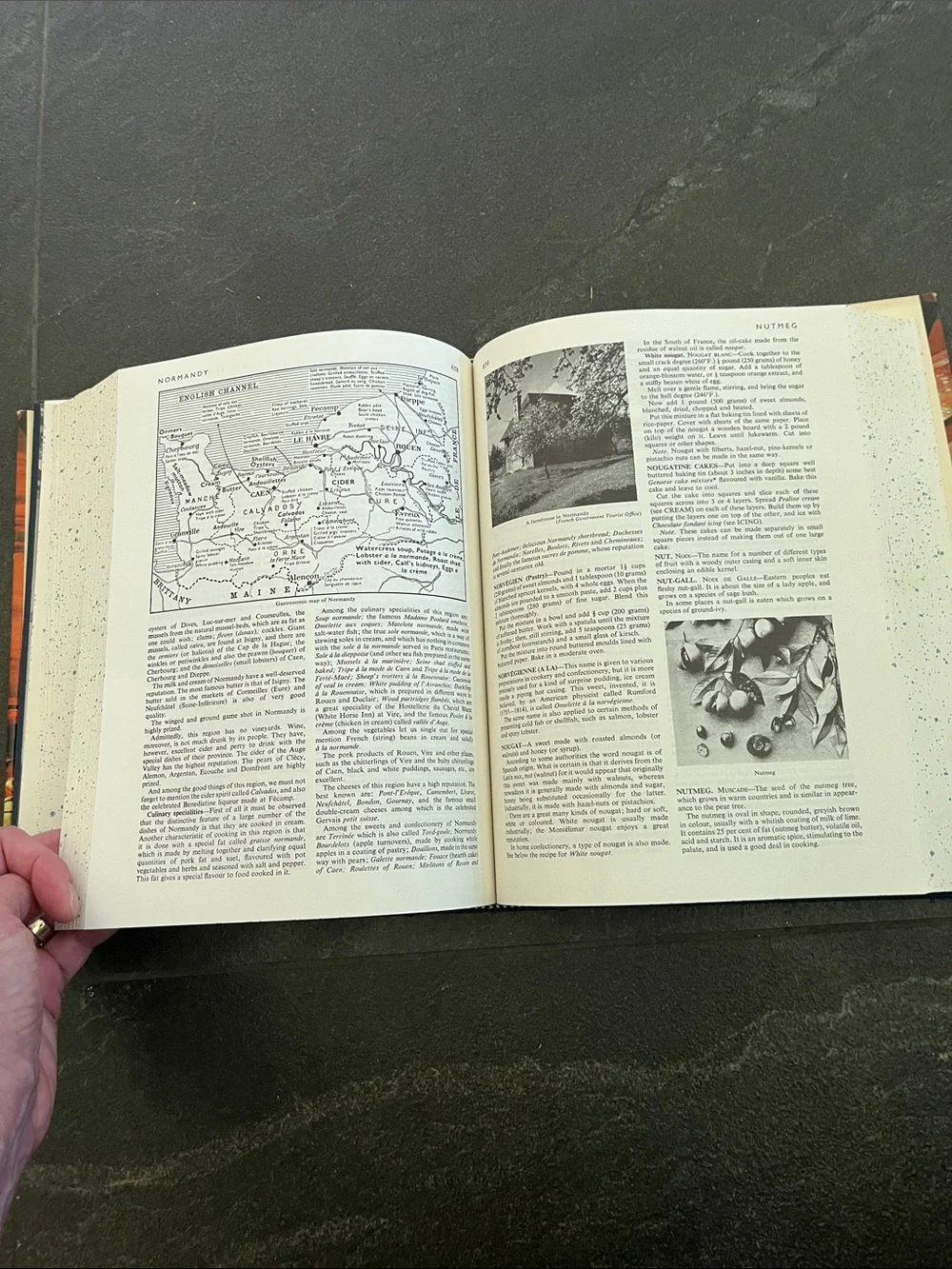 Larousse Gastronomique Encyclopedia of Food Wine & Cookery Prosper Montagne 1961